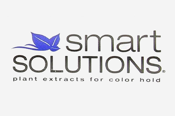 Smart Solutions Logo